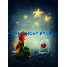 BAVLNĚNÝ PANEL Malý princ  26x35 cm BSK-04