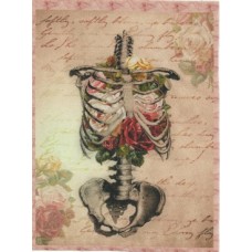 BAVLNĚNÝ PANEL - 13,5 x 18 cm 4RG6