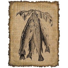 301