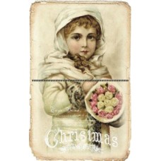 Bavlněná látka-panel A5531