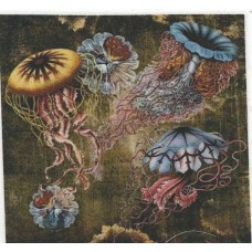 BAVLNĚNÝ PANEL - 11,5 x 12,5 cm 5RG537