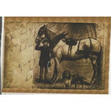 BAVLNĚNÝ PANEL - 6 x 9,5 cm 7RG248