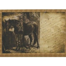 BAVLNĚNÝ PANEL - 6 x 9,5 cm 7RG250