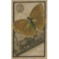 BAVLNĚNÝ PANEL - 8 x 13,5 cm 8RG500