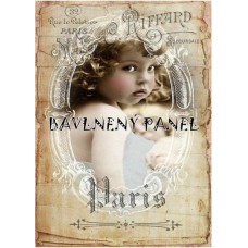 Bavlněná látka-panel A5772