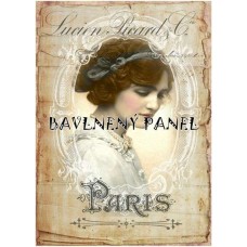 Bavlněná látka-panel A5776
