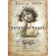 Bavlněná látka-panel A5777