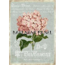 Bavlněná látka-panel A5781