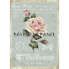 Bavlněná látka-panel A5787