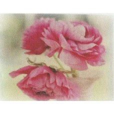 BAVLNĚNÝ PANEL - 7,5 x 10 cm 7RG359
