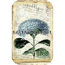 Bavlněná látka-panel A5883