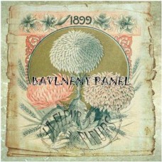 Bavlněná látka-panel A5961