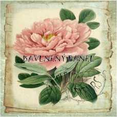 Bavlněná látka-panel A59611