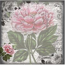 087