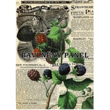 Bavlněná látka-panel A6196