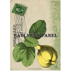 Bavlněná látka-panel A6204