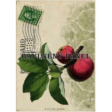 Bavlněná látka-panel A6207