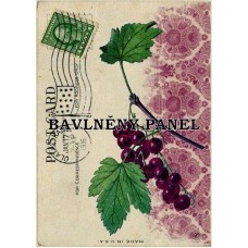 Bavlněná látka-panel A6208