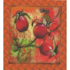 BAVLNĚNÝ PANEL - 12,5 x 13,5 cm 17RG75