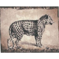 BAVLNĚNÝ PANEL - 13,5 x 17 cm 18RG19