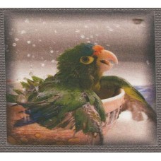 BAVLNĚNÝ PANEL - 12 x 13,5 cm 16RG309