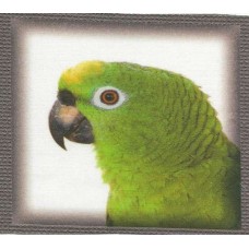 BAVLNĚNÝ PANEL - 12 x 13,5 cm 16RG327