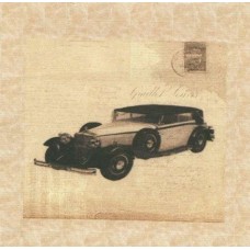 BAVLNĚNÝ PANEL - 9,5 x 11 cm 18RG253