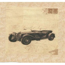 BAVLNĚNÝ PANEL - 9,5 x 11 cm 18RG265