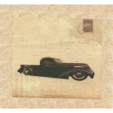 BAVLNĚNÝ PANEL - 9,5 x 11 cm 18RG270