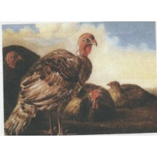 BAVLNĚNÝ PANEL - 9 x 13 cm 4RE92