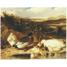 BAVLNĚNÝ PANEL - 9,5 x 13,5 cm 4RE118