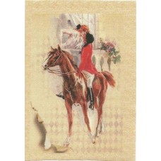 BAVLNĚNÝ PANEL - 9 x 13 cm 20RG45