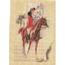 BAVLNĚNÝ PANEL - 9 x 13 cm 20RG49