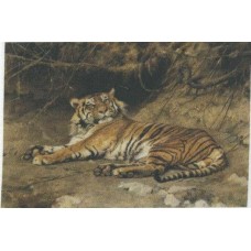 BAVLNĚNÝ PANEL - 9 x 13 cm 4RE205