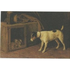 BAVLNĚNÝ PANEL - 8,5 x 13 cm 4RE281