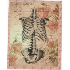 BAVLNĚNÝ PANEL - 10,5 x 16 cm 13RG148