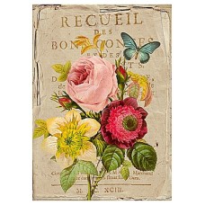 A19C