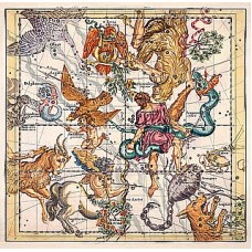 A36