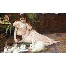  Reprodukce 1038
