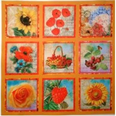 BAVLNĚNÁ LÁTKA - panel 35 x 35 cm  FNP72