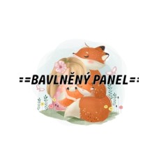 Látkový panel - varianty materiálu a velikosti - obdélníkový  155-75