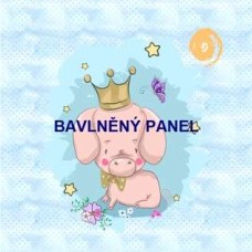 Látkový panel - varianty materiálu a velikosti - čtvercový  155-121c