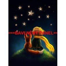 BAVLNĚNÝ PANEL Malý princ 65x90 cm  BSK-02