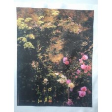 BAVLNĚNÁ LÁTKA - panel 27 x 35 cm  FLP292