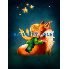 BAVLNĚNÝ PANEL Malý princ 67x90 cm BSK-05