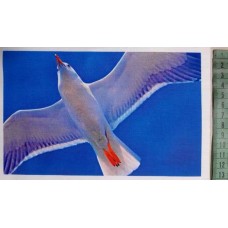 BAVLNĚNÝ PANEL racek - 12x20 cm  zv203