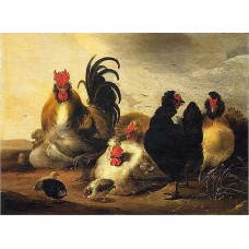  Reprodukce obrazu  2225