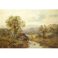  Reprodukce obrazu  2229