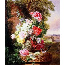  Reprodukce obrazu  2252