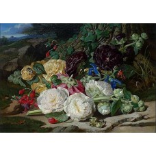  Reprodukce obrazu  2257